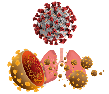 COVID-19 - Coronavirus